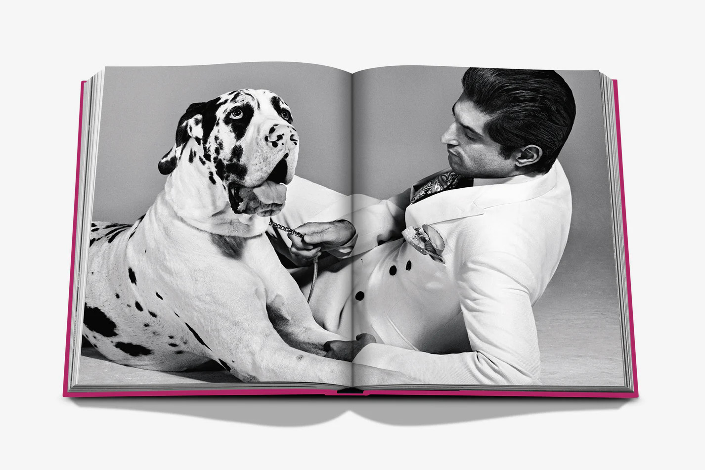 Livre design haut de gamme Chic Dogs par Assouline, édition Classics, disponible chez D-Style Interior.