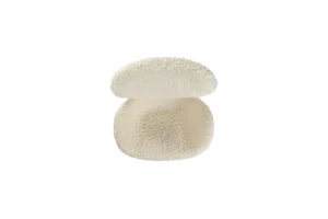 Le fauteuil Uchiwa d’Amura Lab allie élégance japonaise et savoir-faire italien dans une structure légère et sculpturale. Une pièce raffinée et apaisante. Disponible chez D-Style Interior.