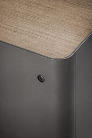 Trust | Bureaux design haut de gamme Regular Poltrona Frau par Lievore – Altherr – Park, design italien haut de gamme avec plateau en cuir Pelle Frau® ou Techno Wood, disponible chez D-Style Interior