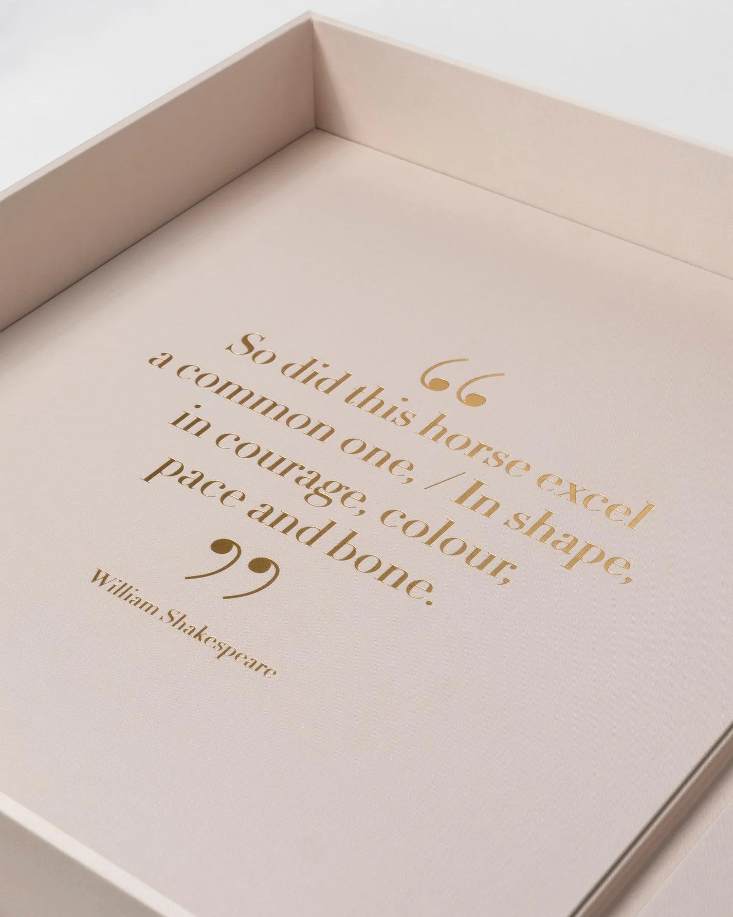 Livre design haut de gamme Horses from Saudi Arabia par Assouline, édition en soie sous écrin, disponible chez D-Style Interior.