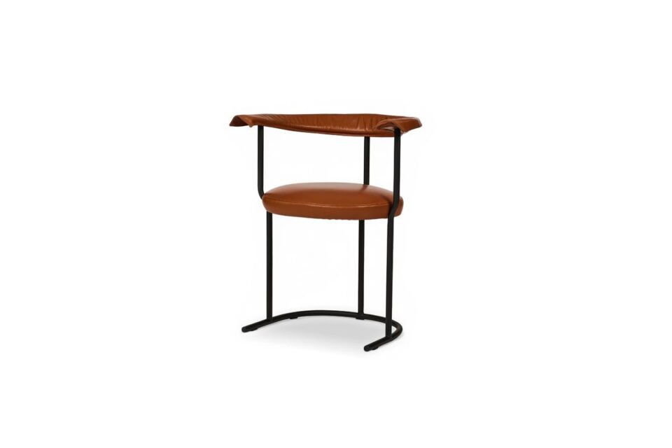 Numa | chaise design haut de gamme – Amura Lab